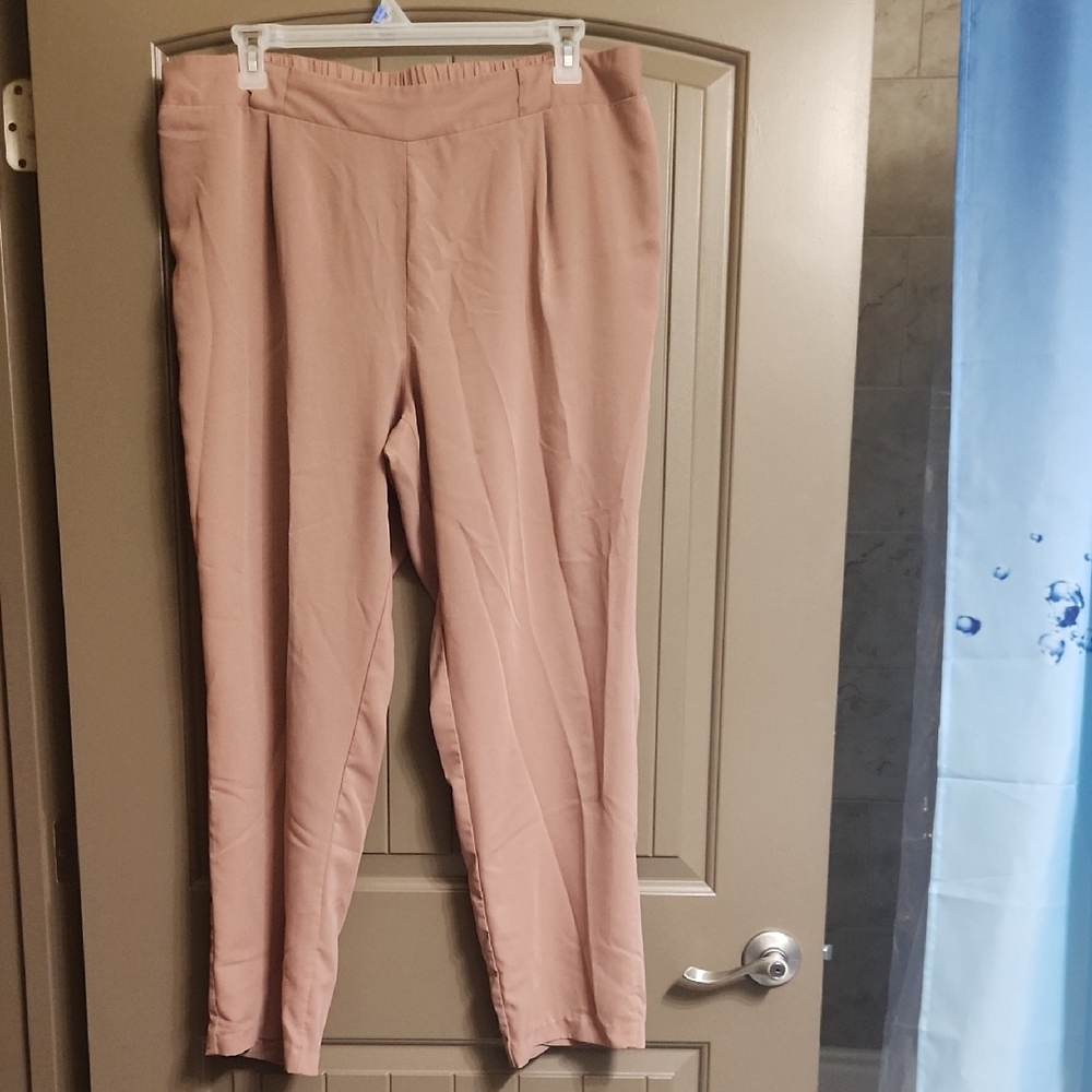 Charlotte Russe Blush Ankle Pants